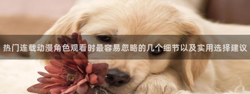 虫虫漫画高清版：热门连载动漫角色观看时最容易忽略的几个细节以及实用选择建议配图