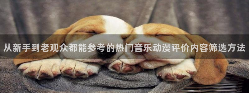 虫虫漫画电脑在线看：从新手到老观众都能参考的热门音乐动漫评价内容筛选方法配图