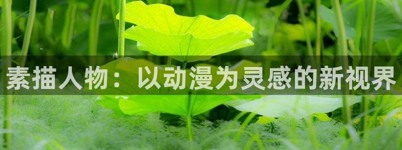 虫虫漫画更新:素描人物:以动漫为灵感的新视界配图