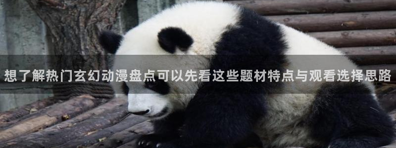 虫虫漫画网页版阅读:想了解热门玄幻动漫盘点可以先看这些题材特点与观看选择思路配图